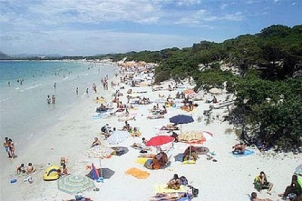 Il Terrazzo Del Sole Daire Alghero Oda fotoğraf